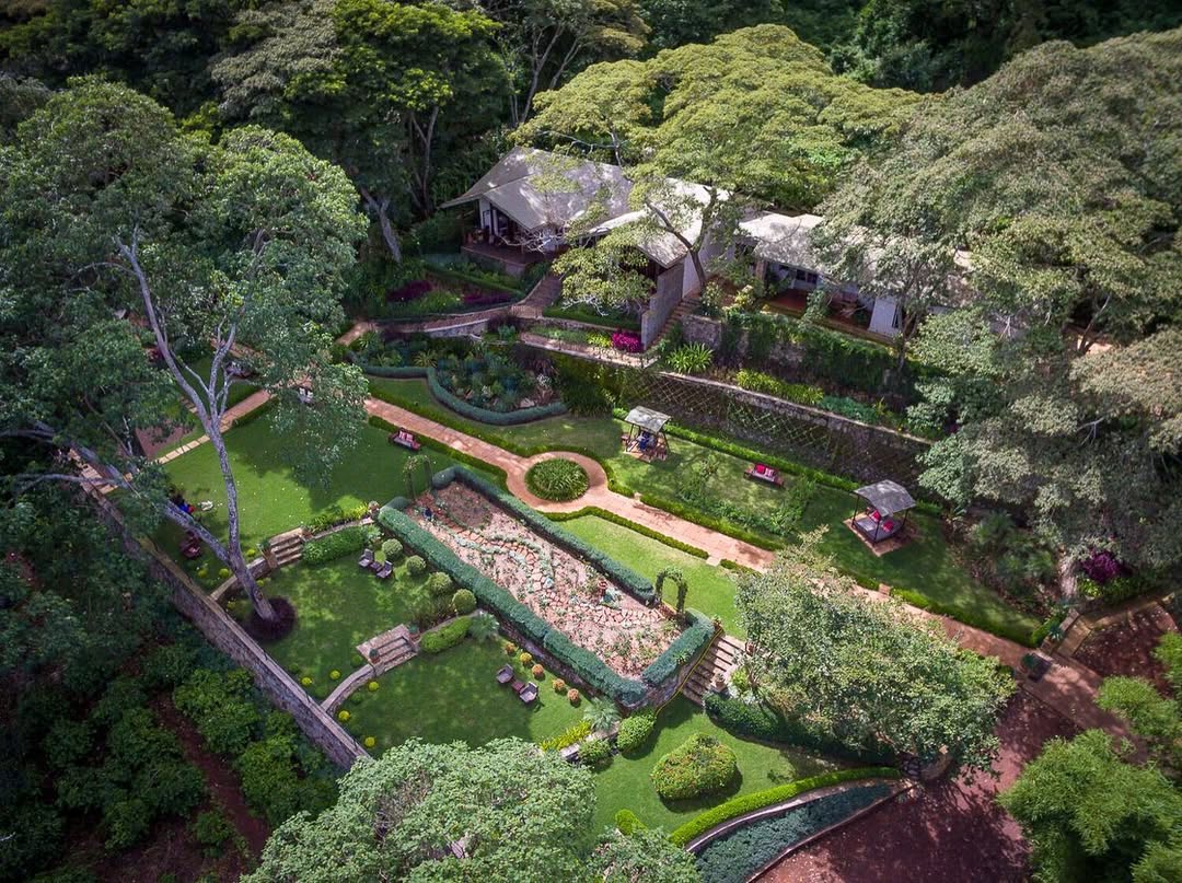 Gibb's Farm - Gallery Image 2