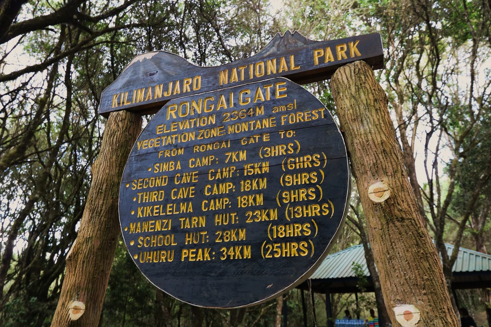 Simba Camp - Gallery Image 2