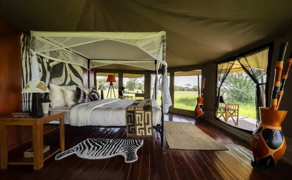Sound of Silence — Serengeti - Gallery Image 2
