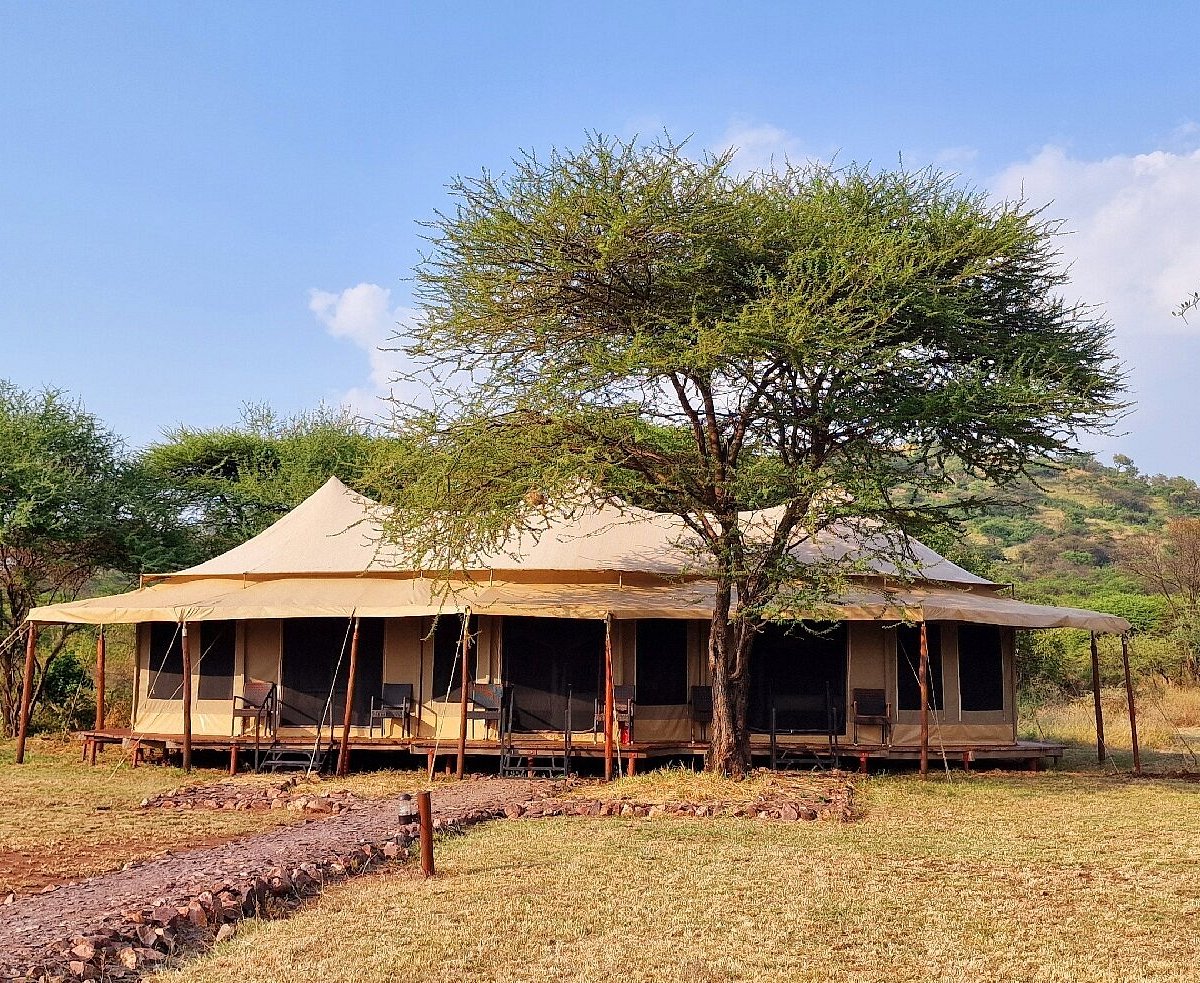 Sound of Silence — Serengeti - Gallery Image 2