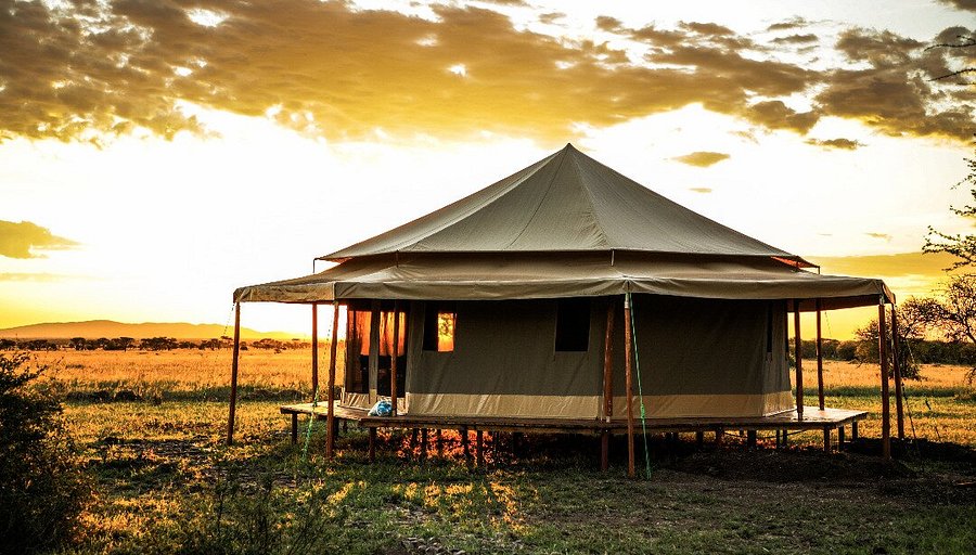 Sound of Silence — Serengeti - Gallery Image 1