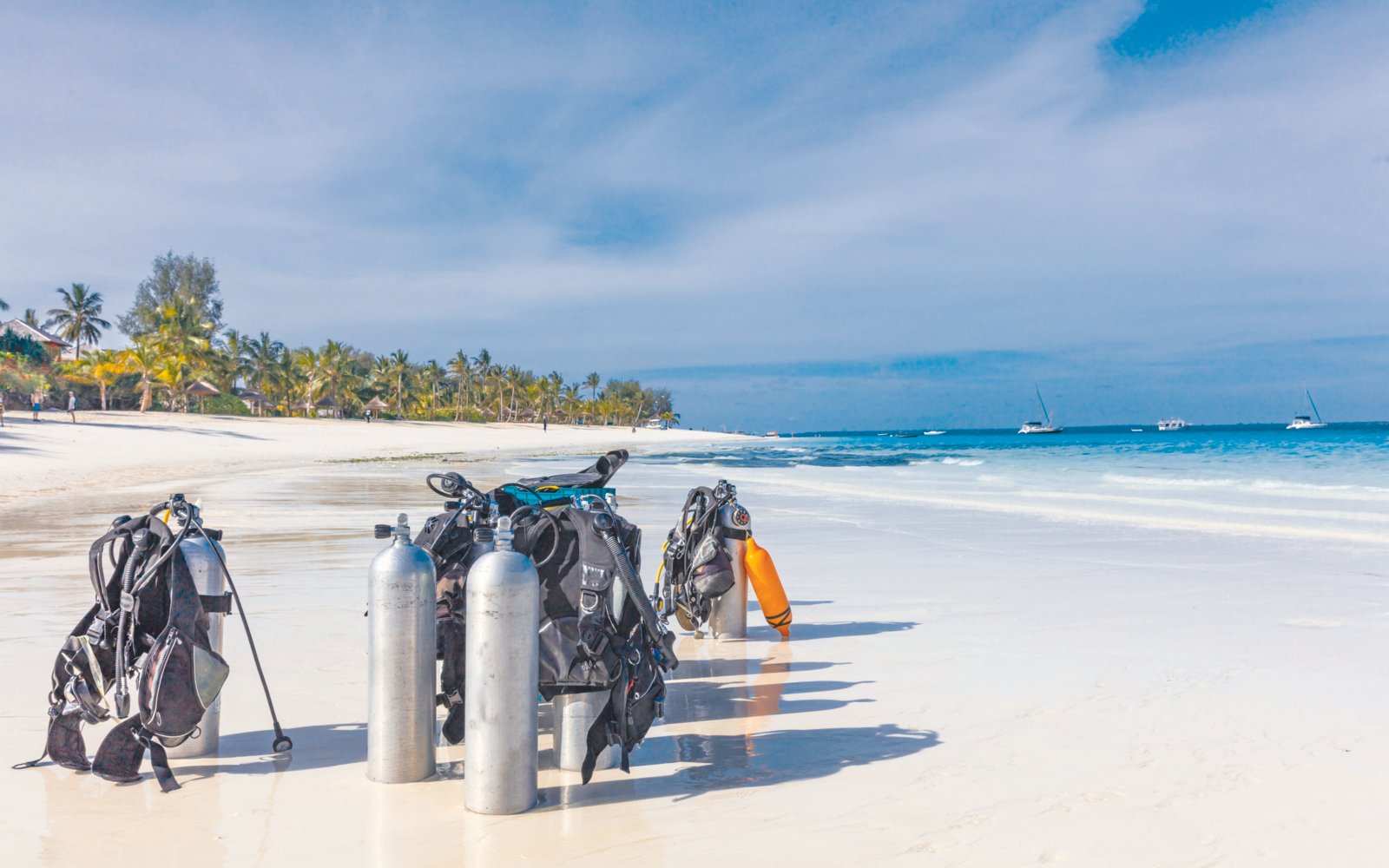 Best Diving Sites in Tanzania 2025–2026