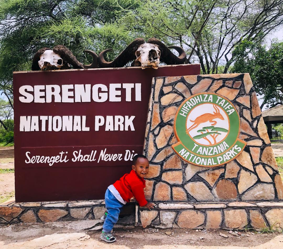 When to Visit Serengeti National Park 2025–2026: Best Times for Wildlife & Solitude