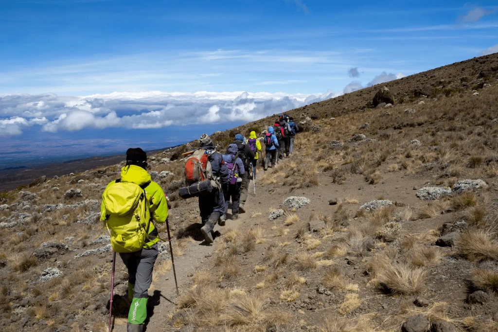 Climbing Kilimanjaro Difficulty: How Hard is it to Climb Kilimanjaro?