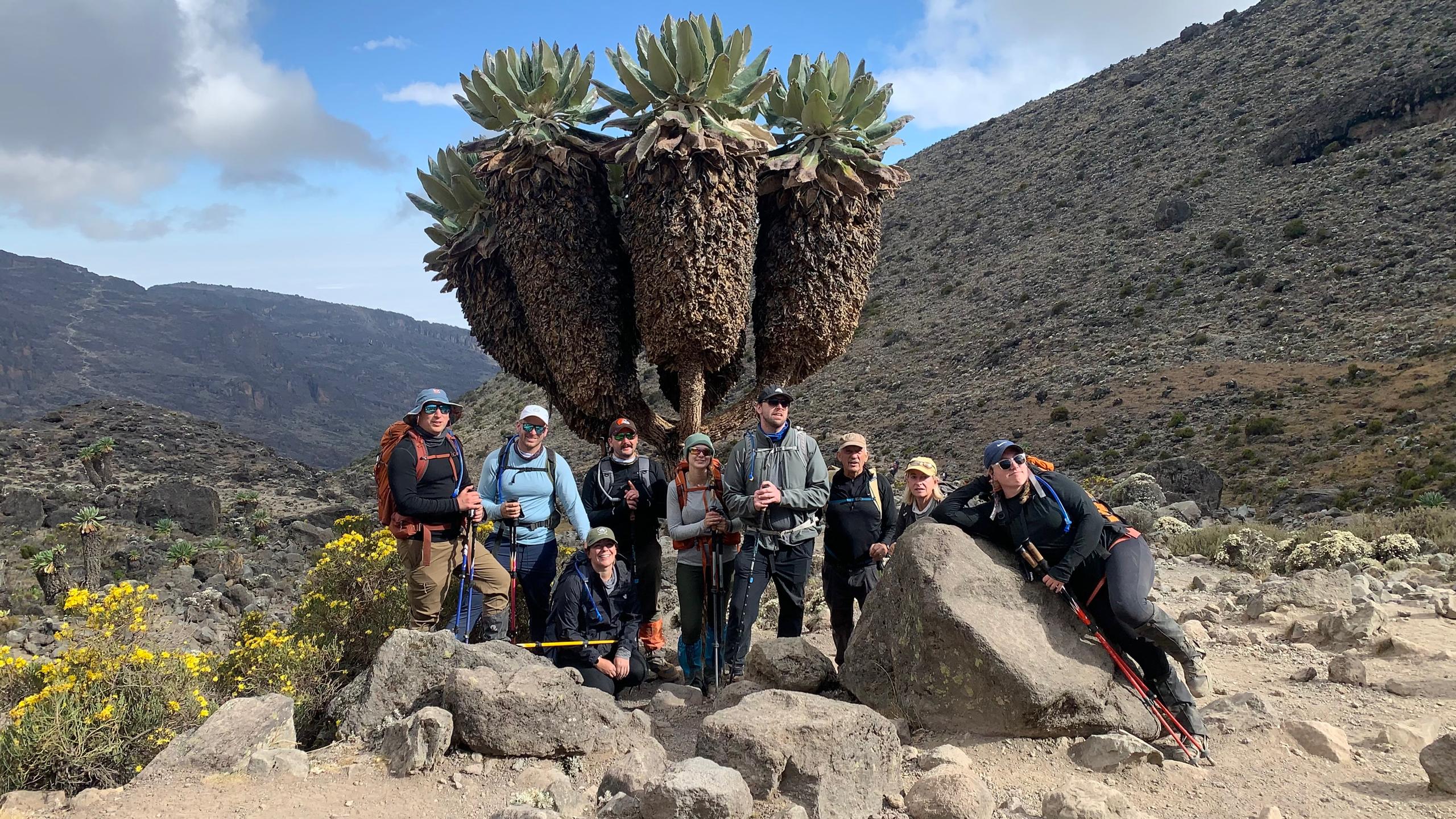 Can You Climb Kilimanjaro in the Rainy Season 2025–2026?