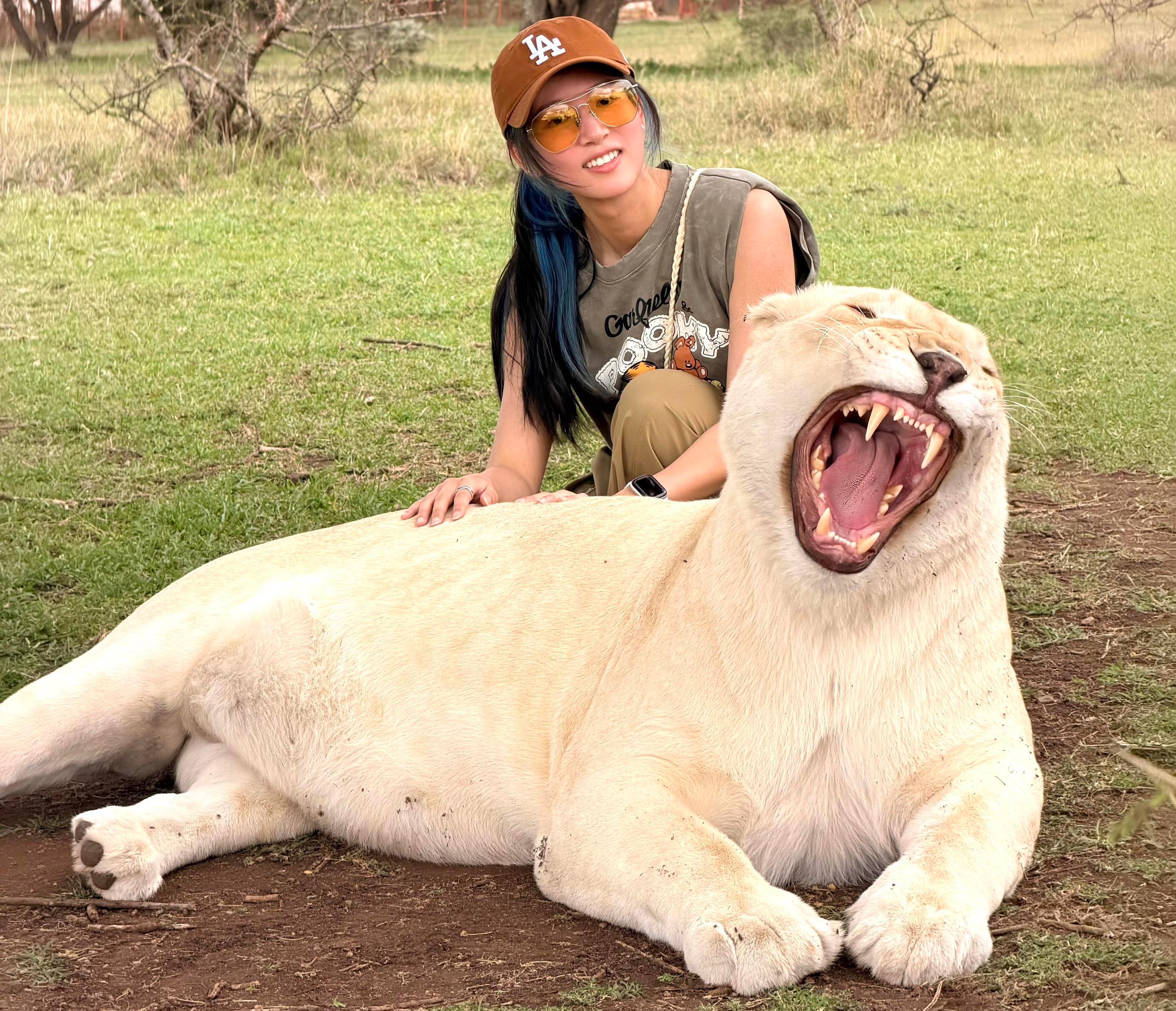 Serval Ethical Wildlife Experience