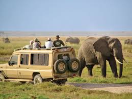 Game Drives