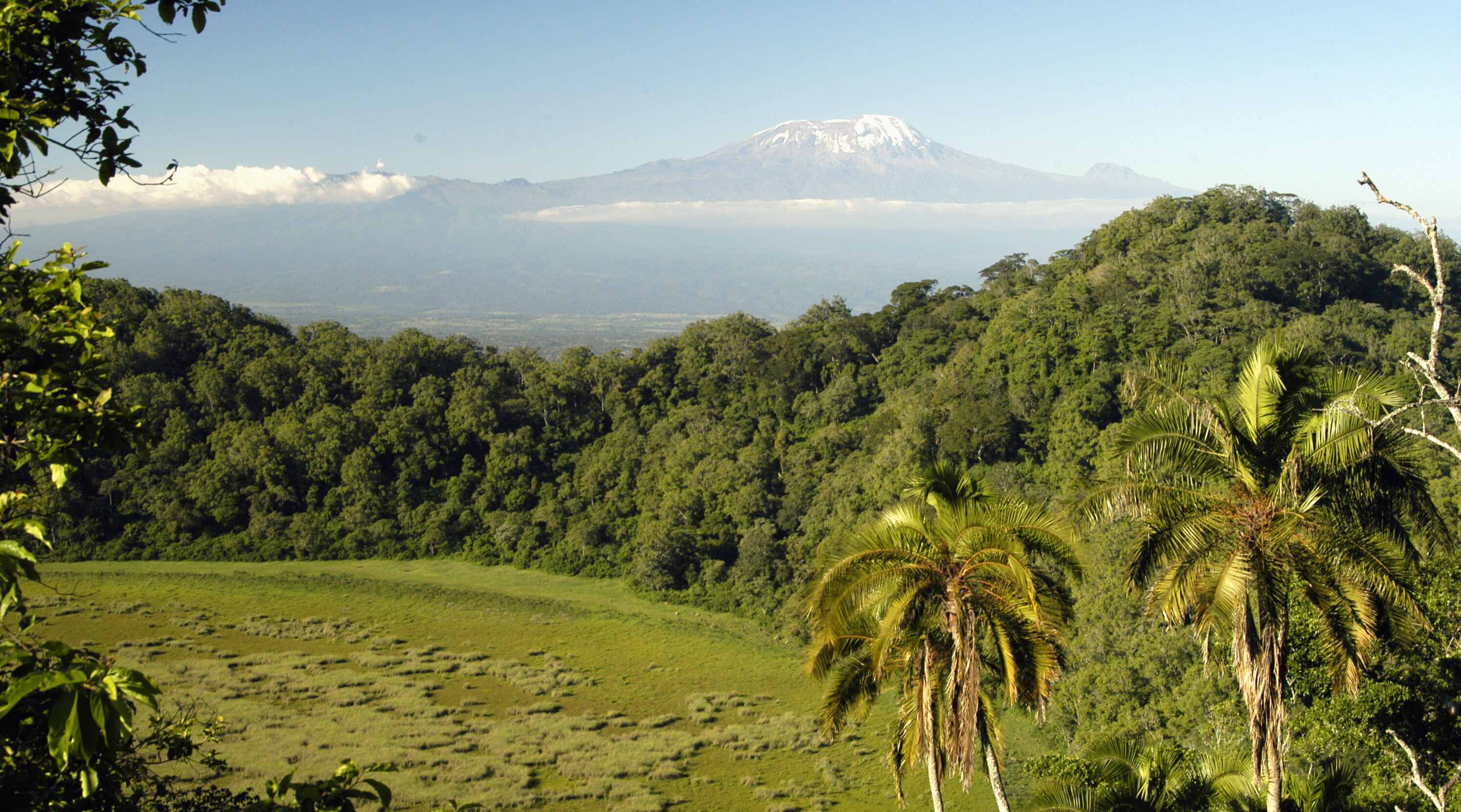 Ngurdoto and Meru Craters