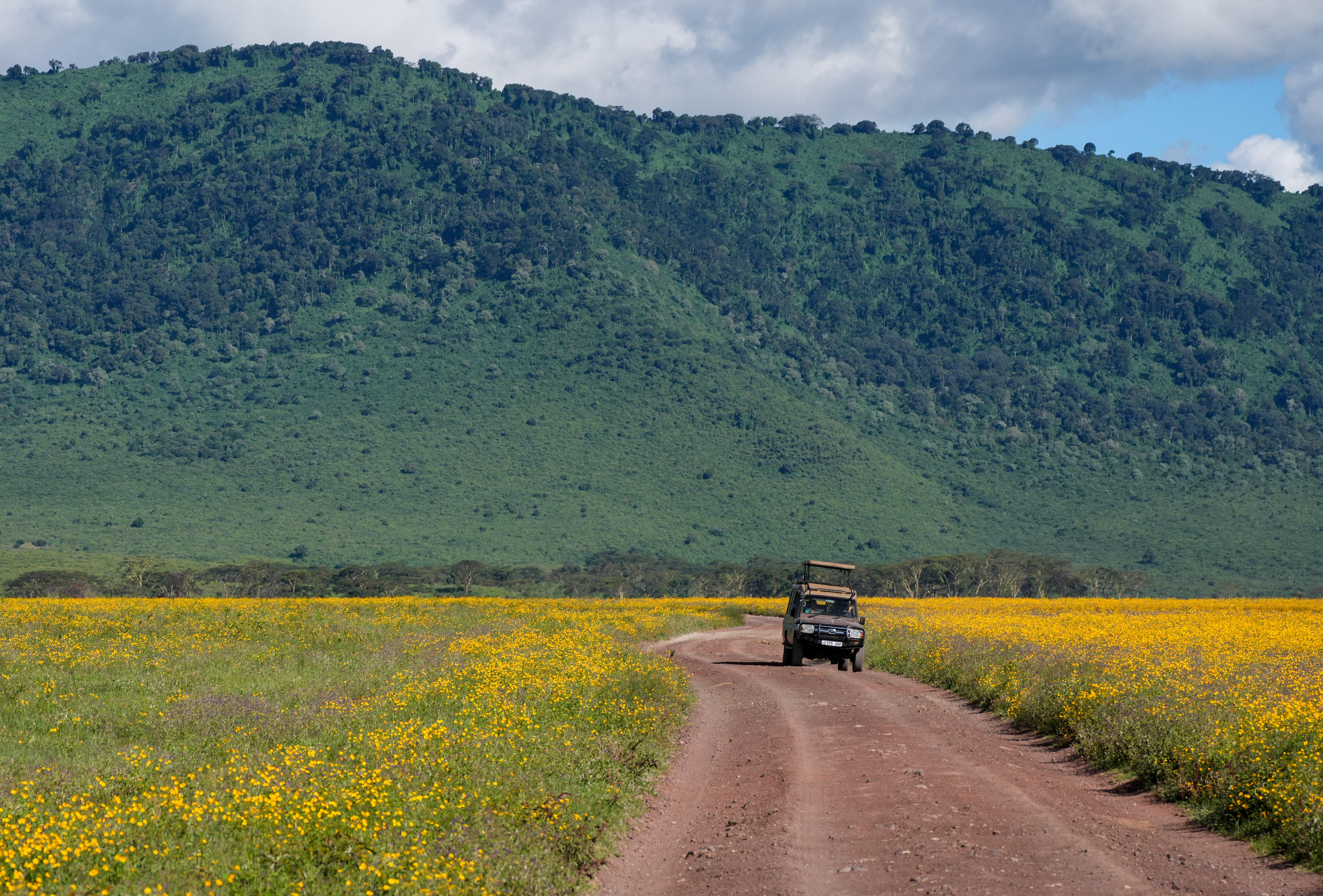 Ngorongoro Conservation Area