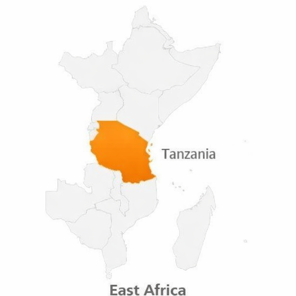 About Tanzania