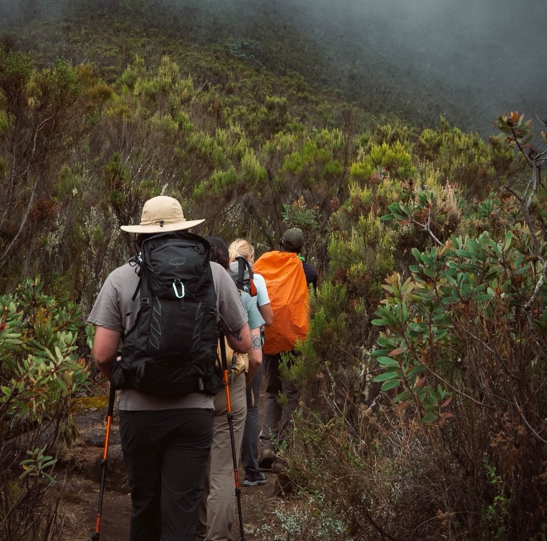 Lemosho Route (Tailored) 