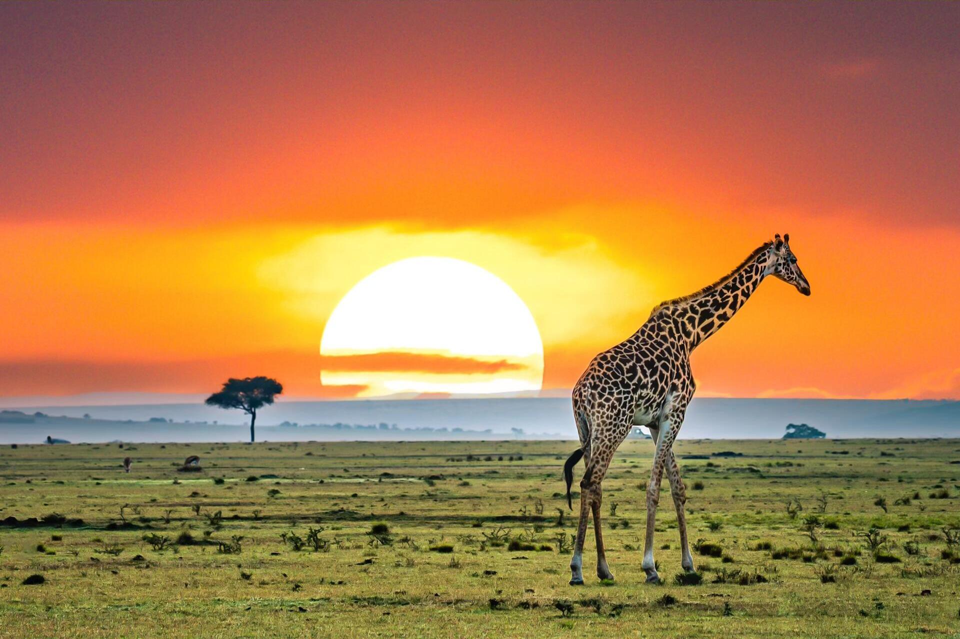 Ngorongoro 2-Day Trip: Sunrise on the Rim