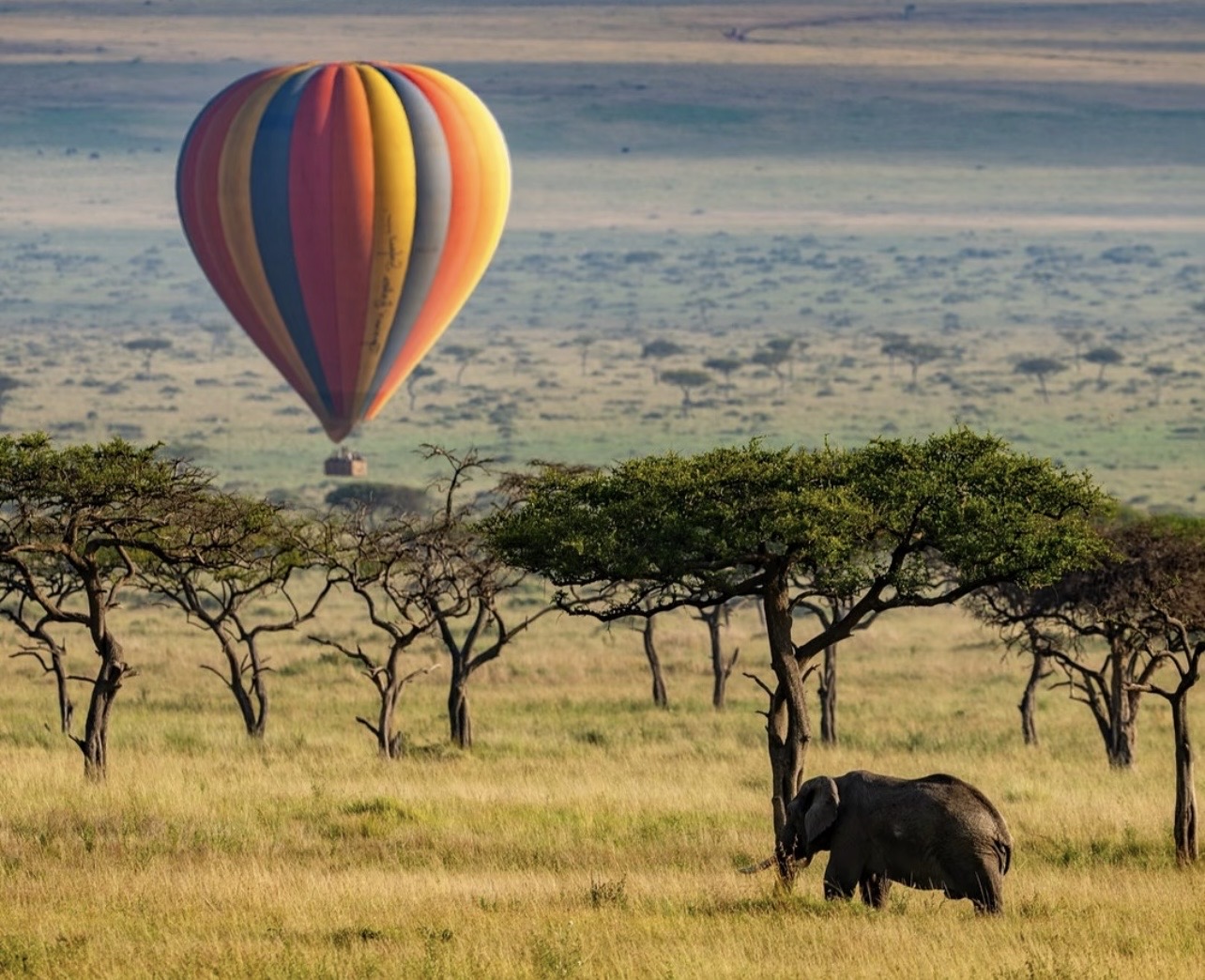 Crater World: Ngorongoro, Empakaai and Crater Floor Safari