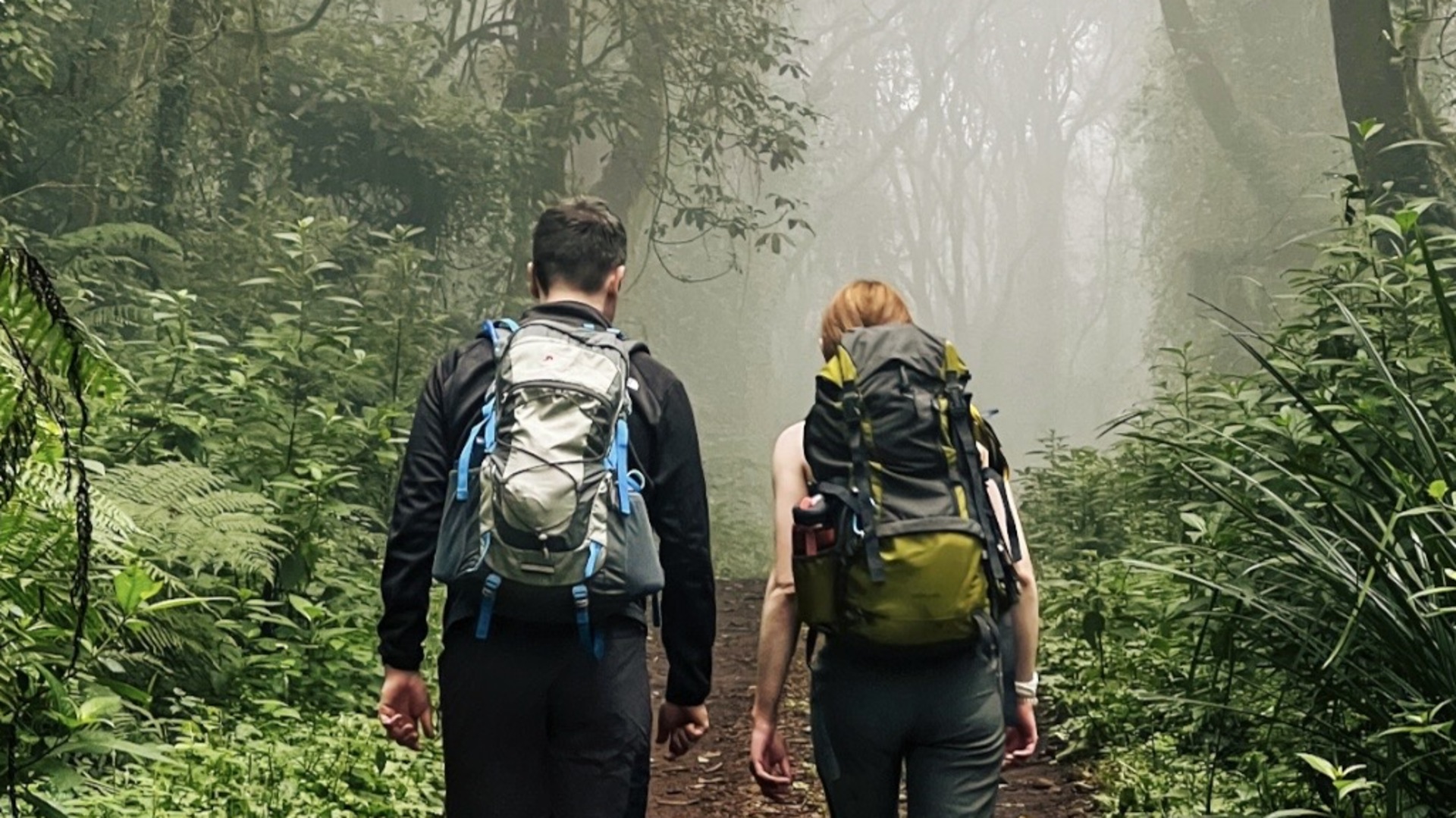 Lemosho Route + Kossovo Camp