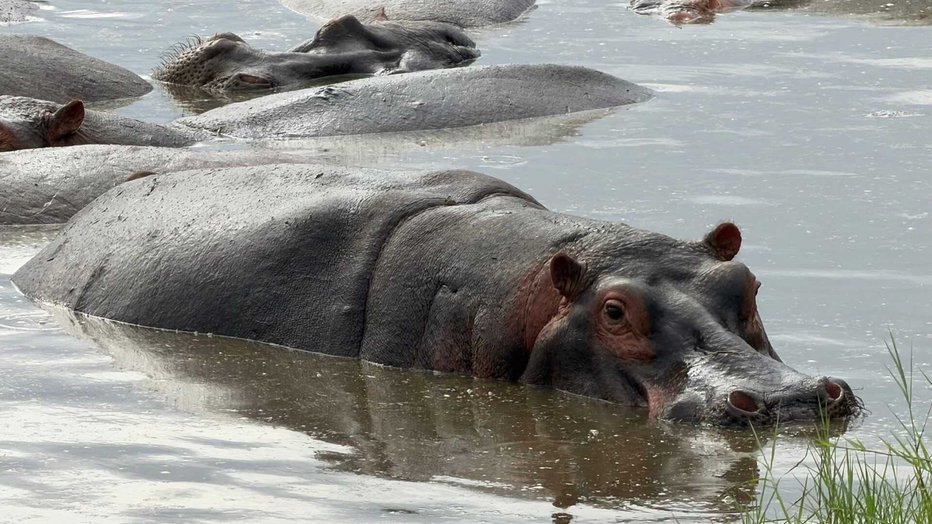 Safari Tour 'Suni': 2-Day Lake Manyara & Ngorongoro (Value)