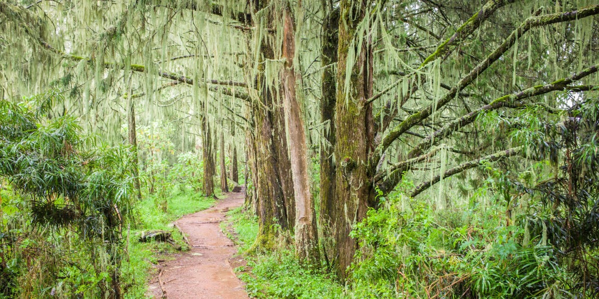 Shira 1 Camp - Gallery Image 2