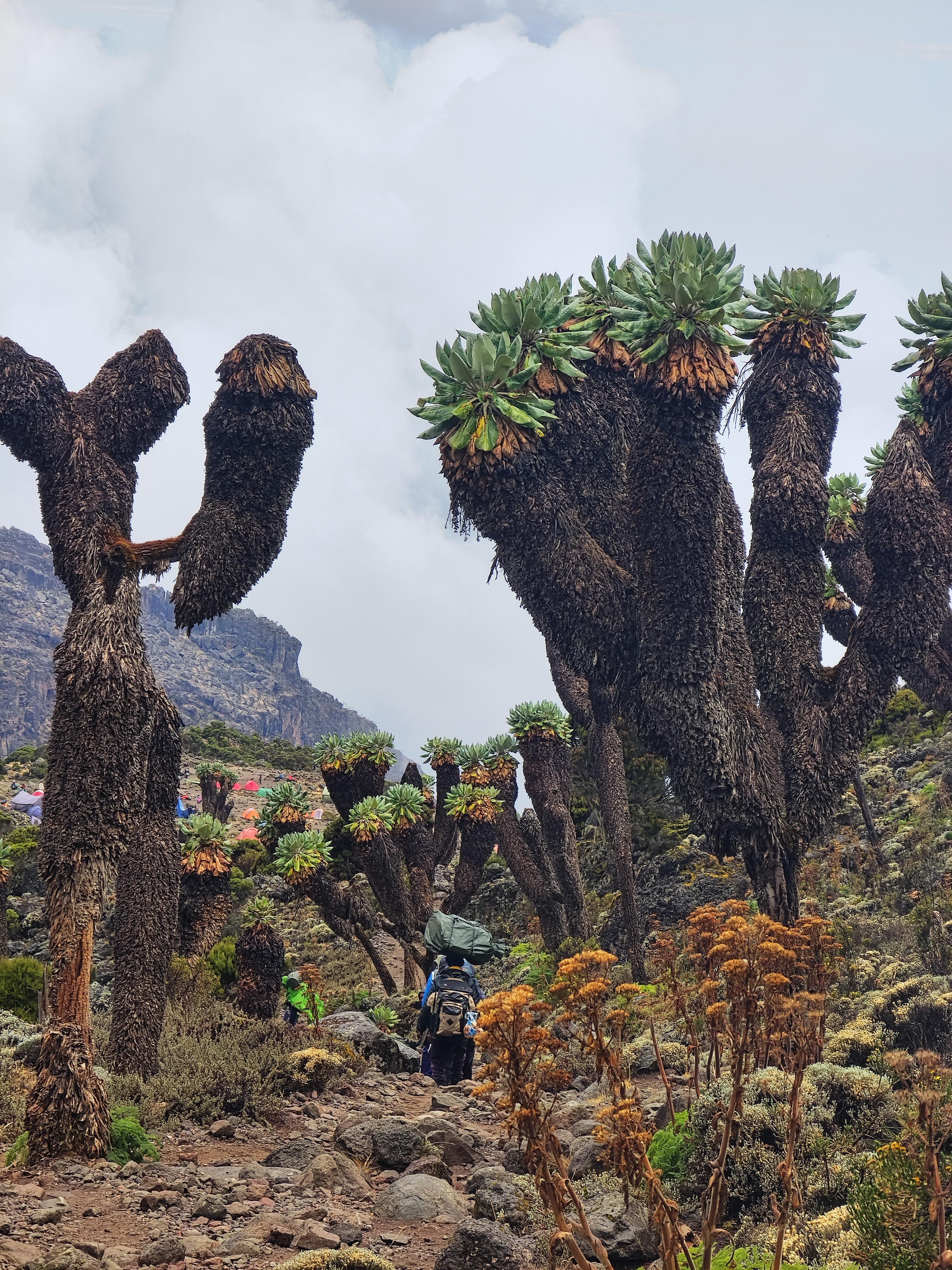 Barranco Camp - Gallery Image 3