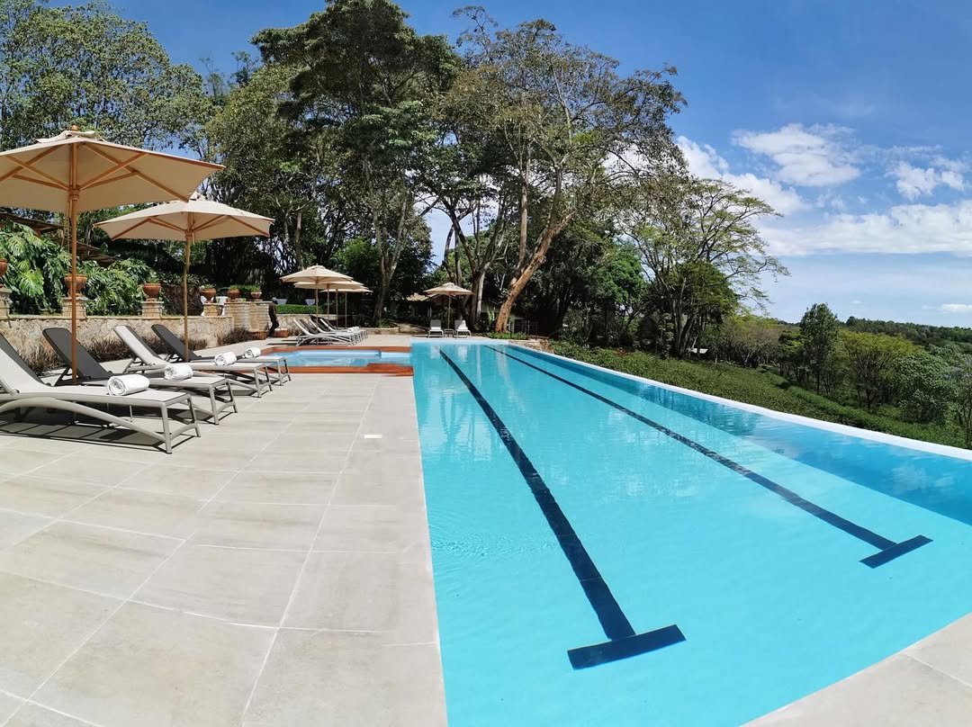 Gibb's Farm - Gallery Image 2