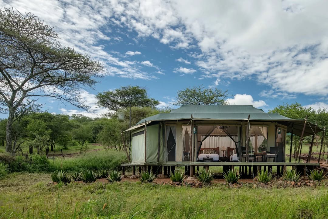 Ole Serai Luxury Camp — Moru Kopjes - Gallery Image 3