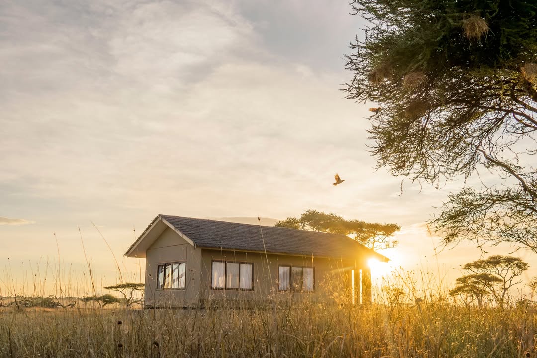 Sametu Camp Serengeti - Gallery Image 2