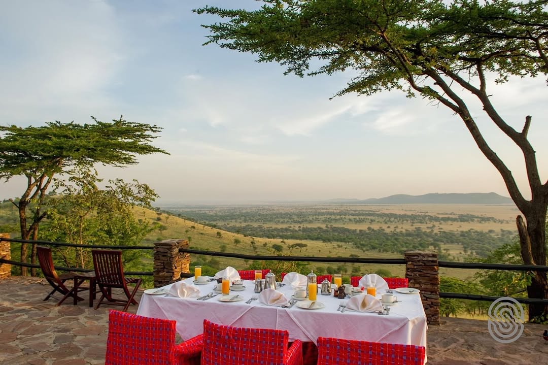 Serengeti Serena Safari Lodge - Gallery Image 2