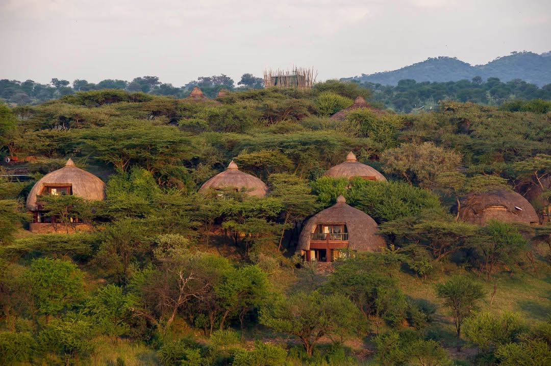 Serengeti Serena Safari Lodge - Gallery Image 3