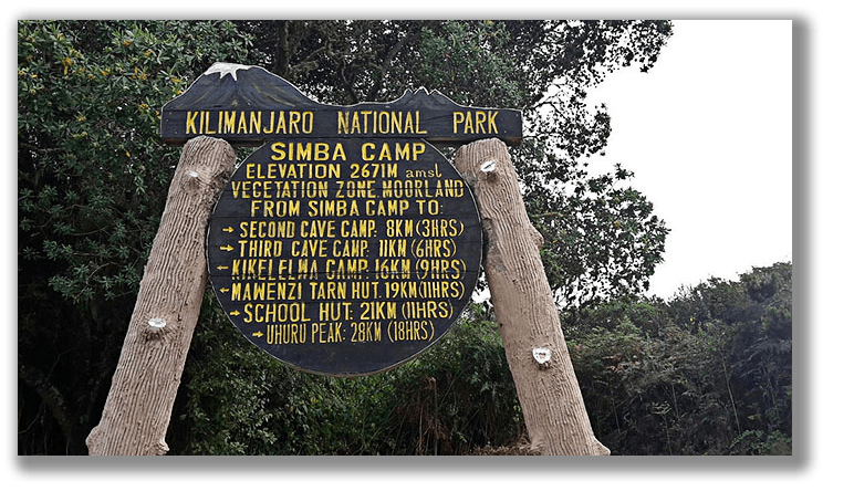 Simba Camp - Gallery Image 2