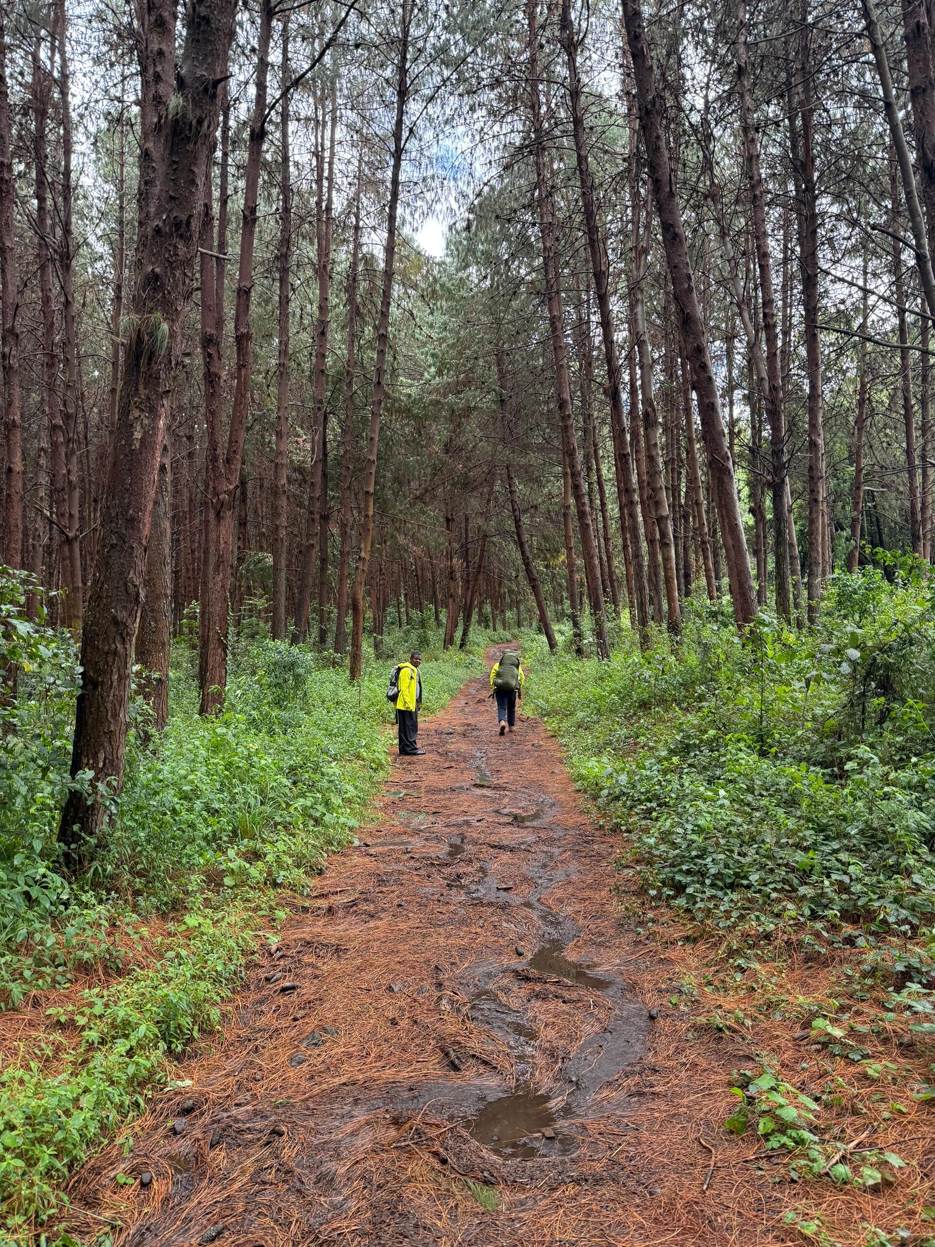 Simba Camp - Gallery Image 3