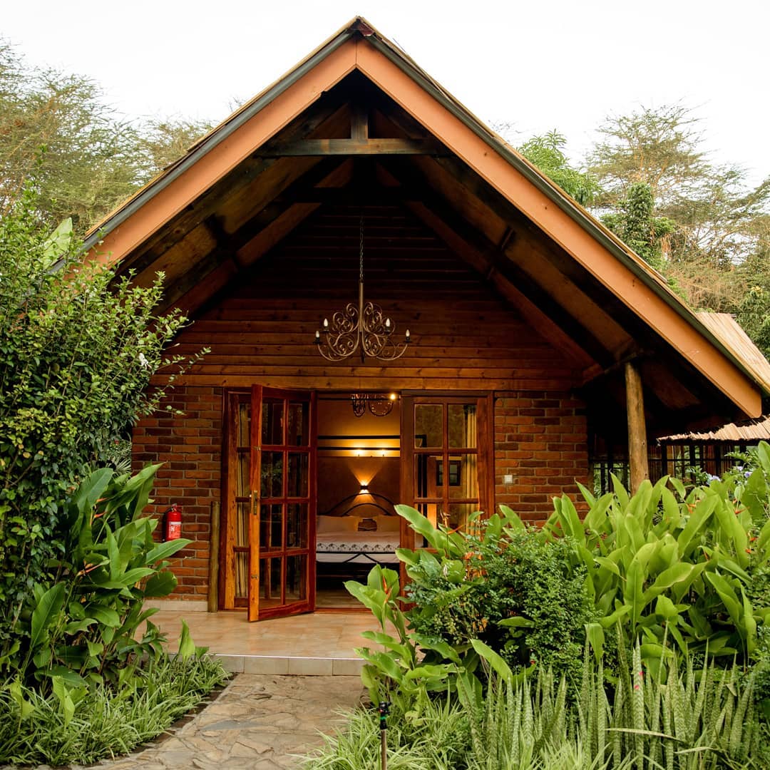 Under the Shade - Gallery Image 2