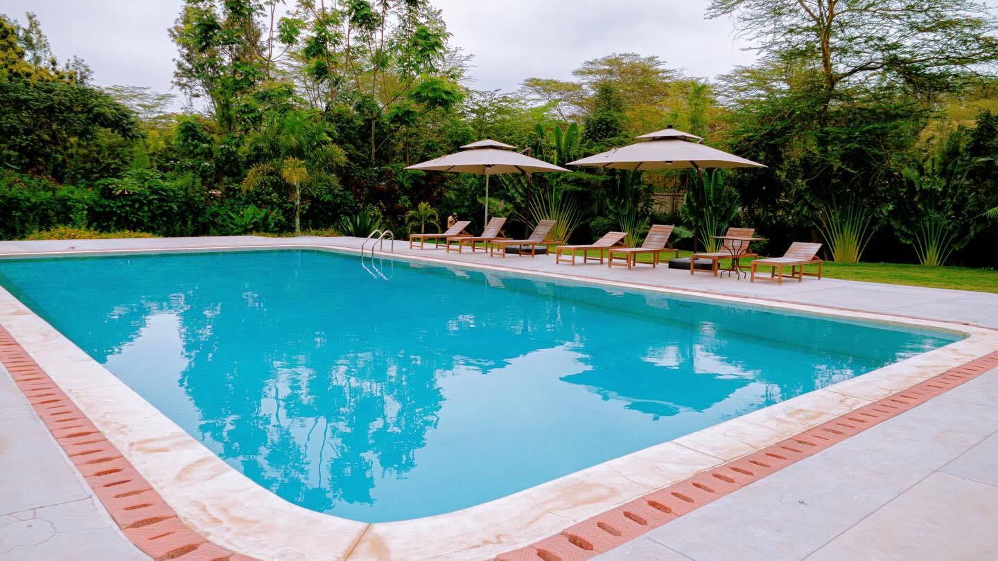 Under the Shade - Gallery Image 2