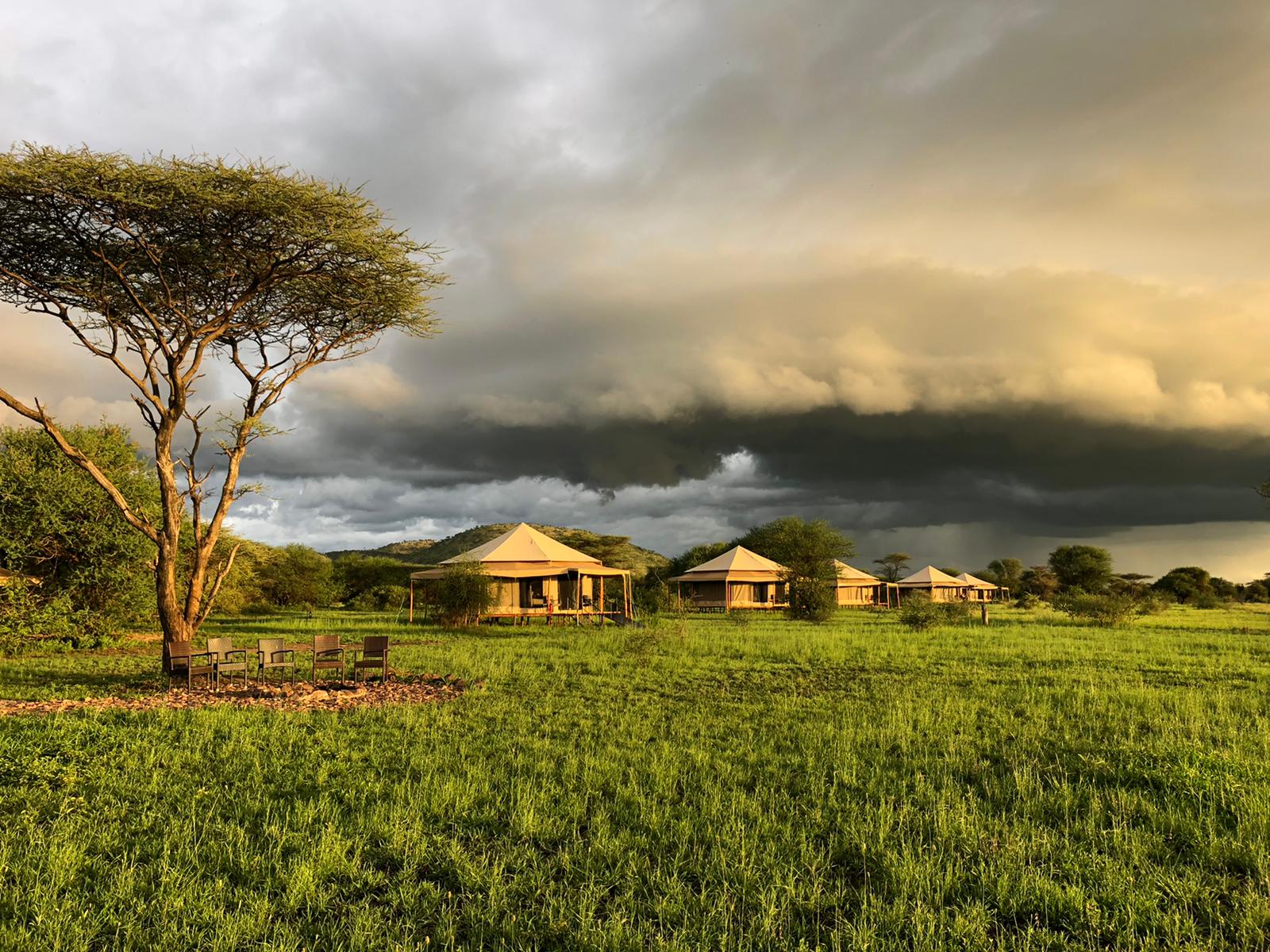 Sound of Silence — Lake Manyara - Gallery Image 1