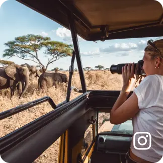 Discover Safaris: Past, Present & Best Spots