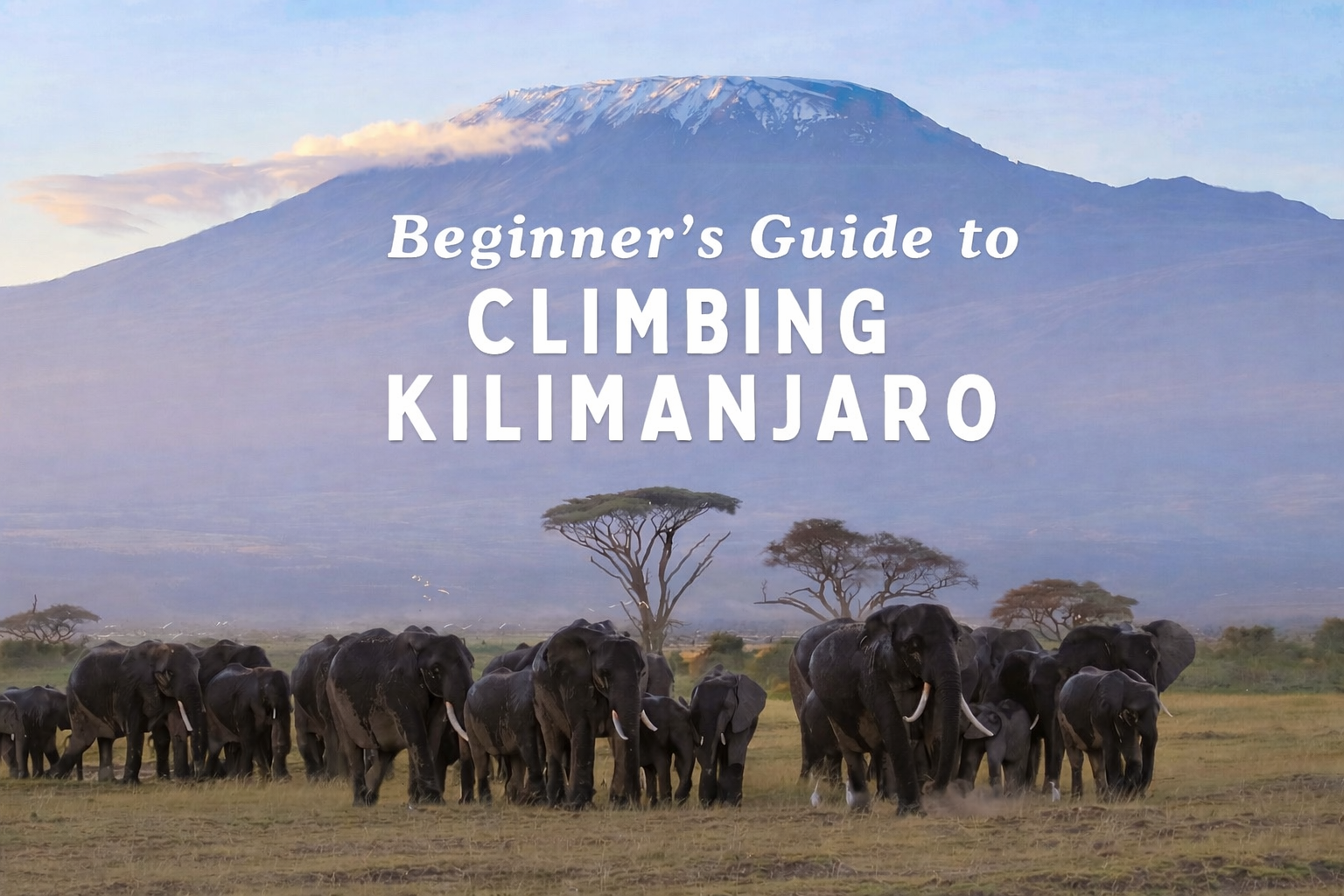 Kilimanjaro Climbing for Beginners: Complete 2026 Guide with Kilimanjaro Explore