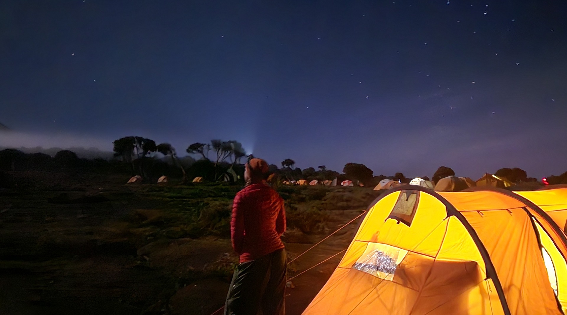 The Ultimate Guide to Planning a Tanzania Safari (2026 Edition)