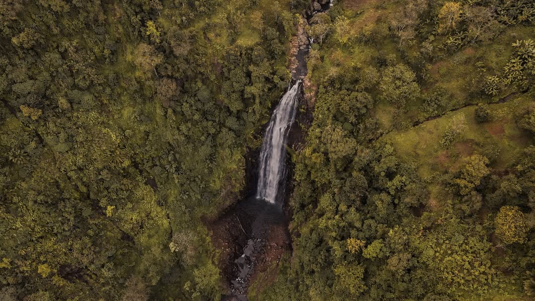 Materuni Waterfall and Coffee Farm Tour