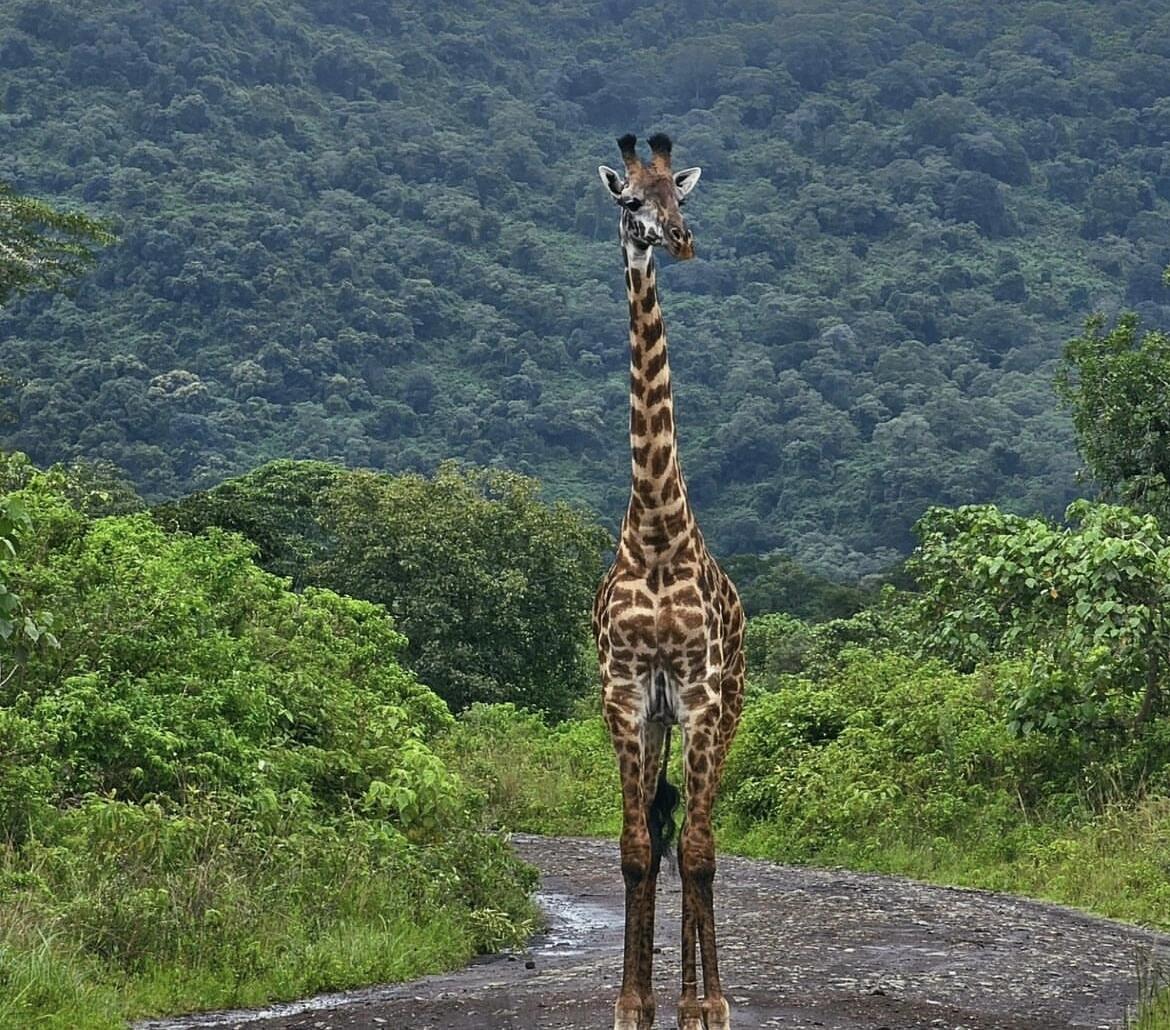 Arusha National Park