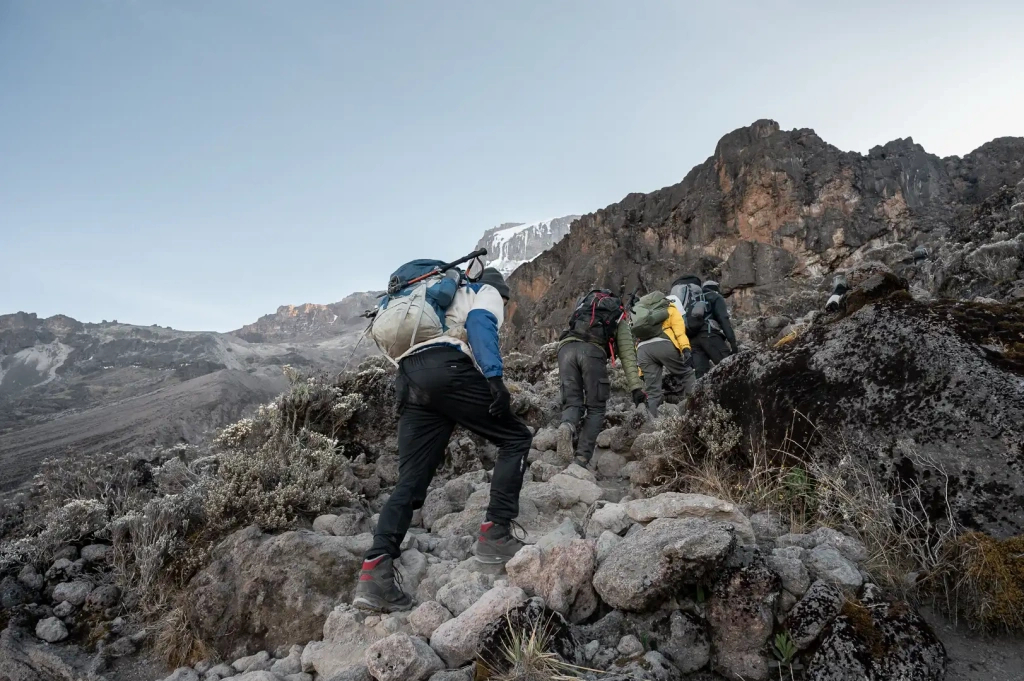 Training For Kilimanjaro Hiking