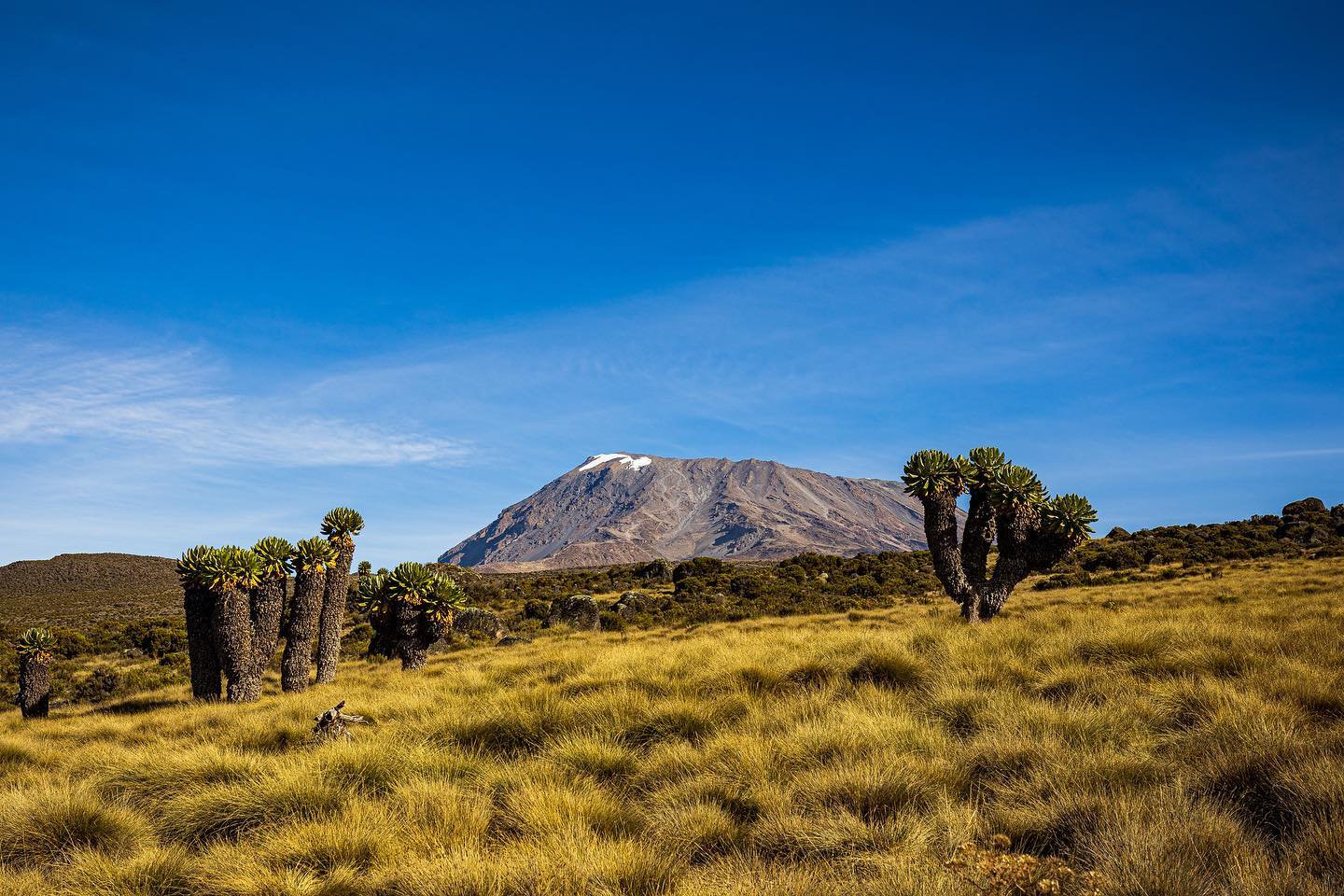Marangu Route (Hut Accomodation) - Image 2