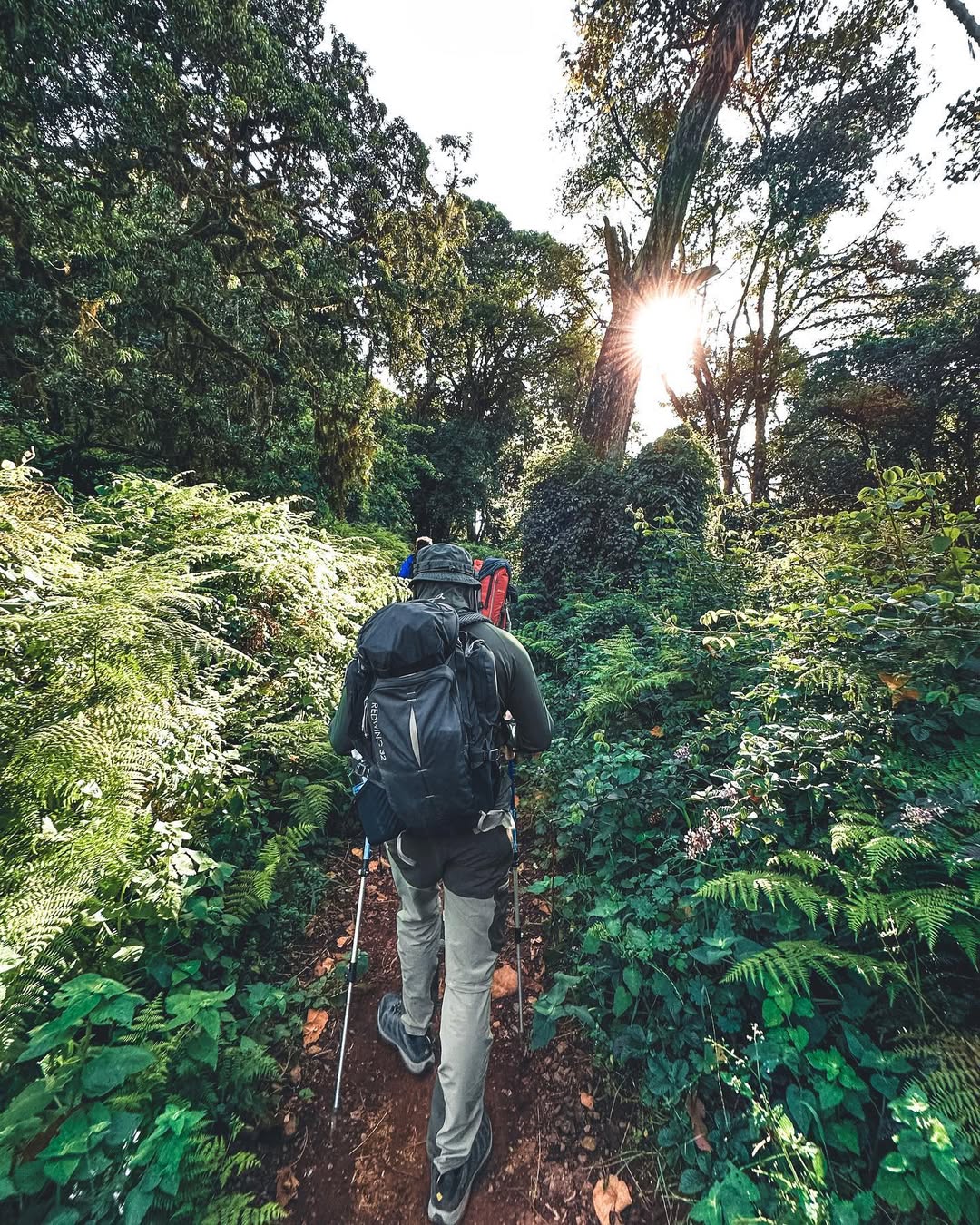 Marangu Route (Hut Accomodation) - Image 3