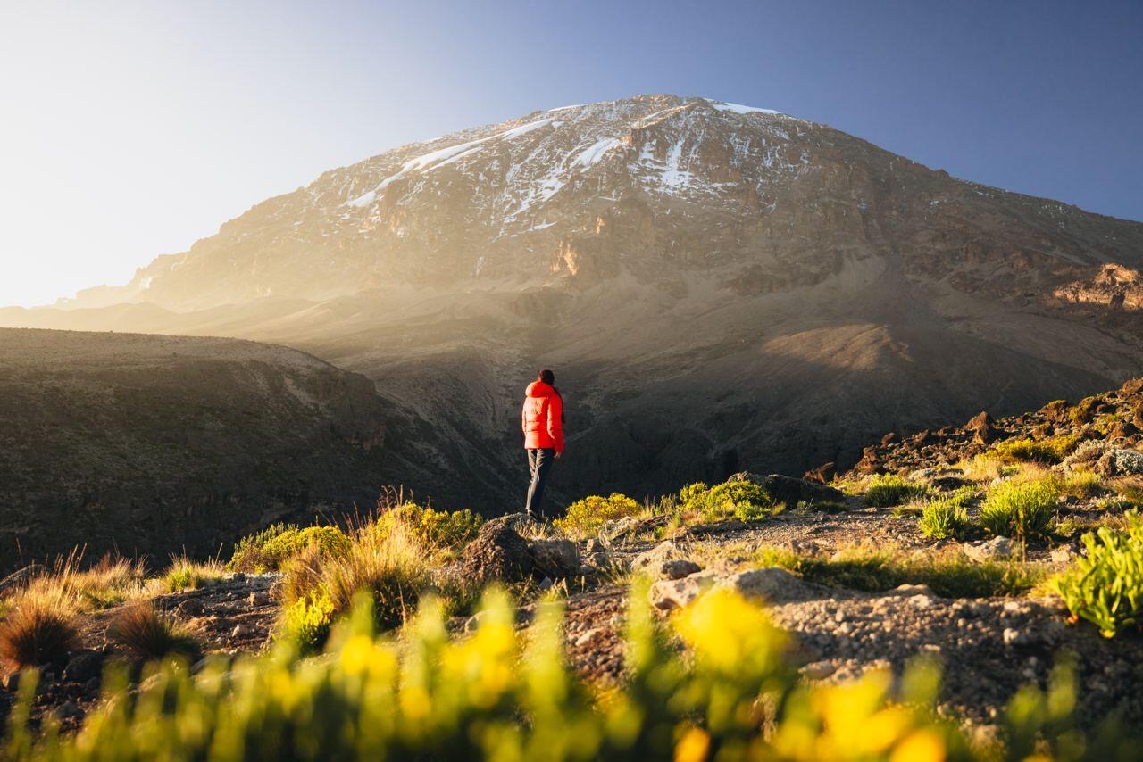 Lemosho Route (Premium)