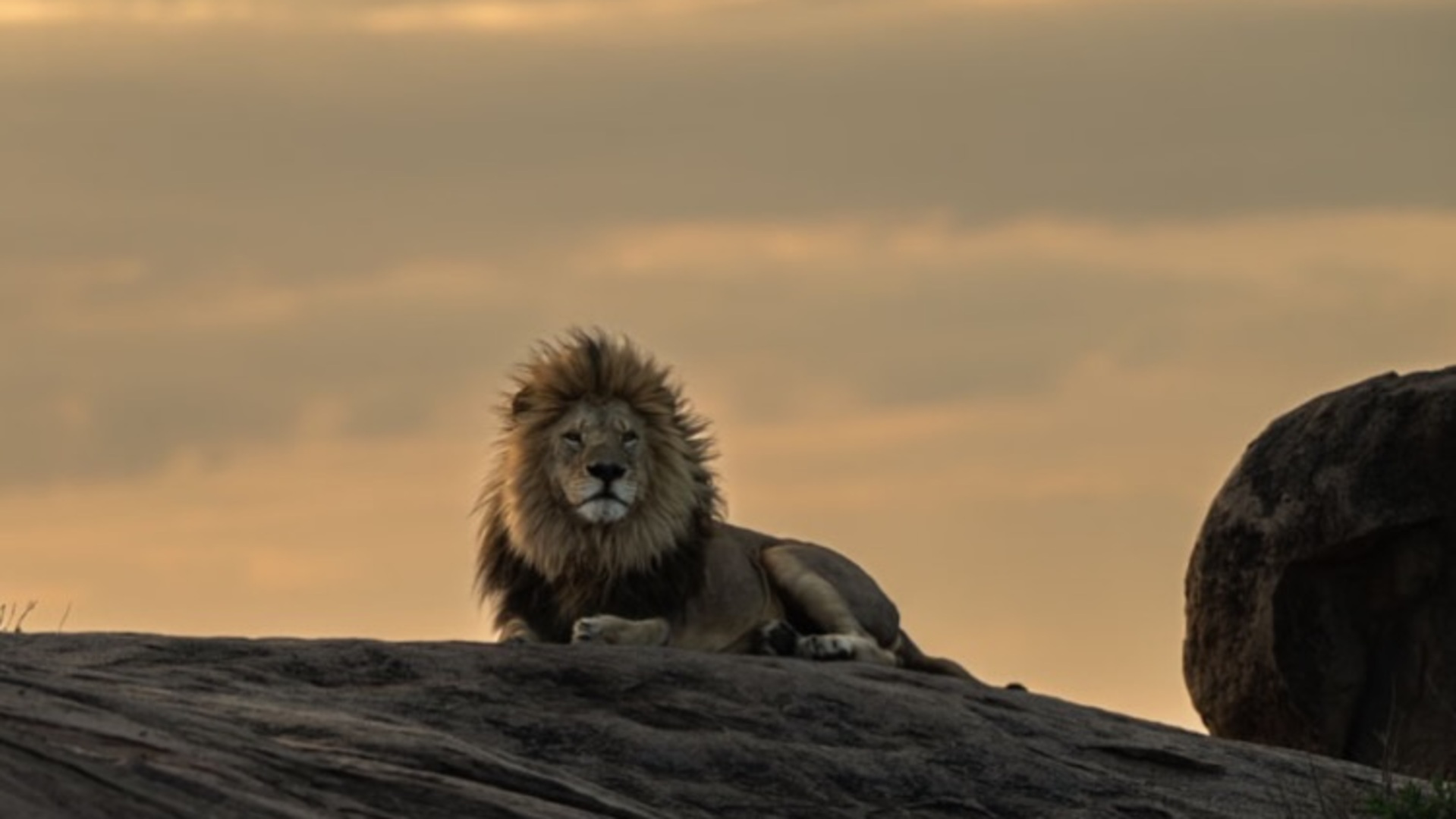 Safari Tour 'Kudu': 6-Day Ndutu, Serengeti & Ngorongoro