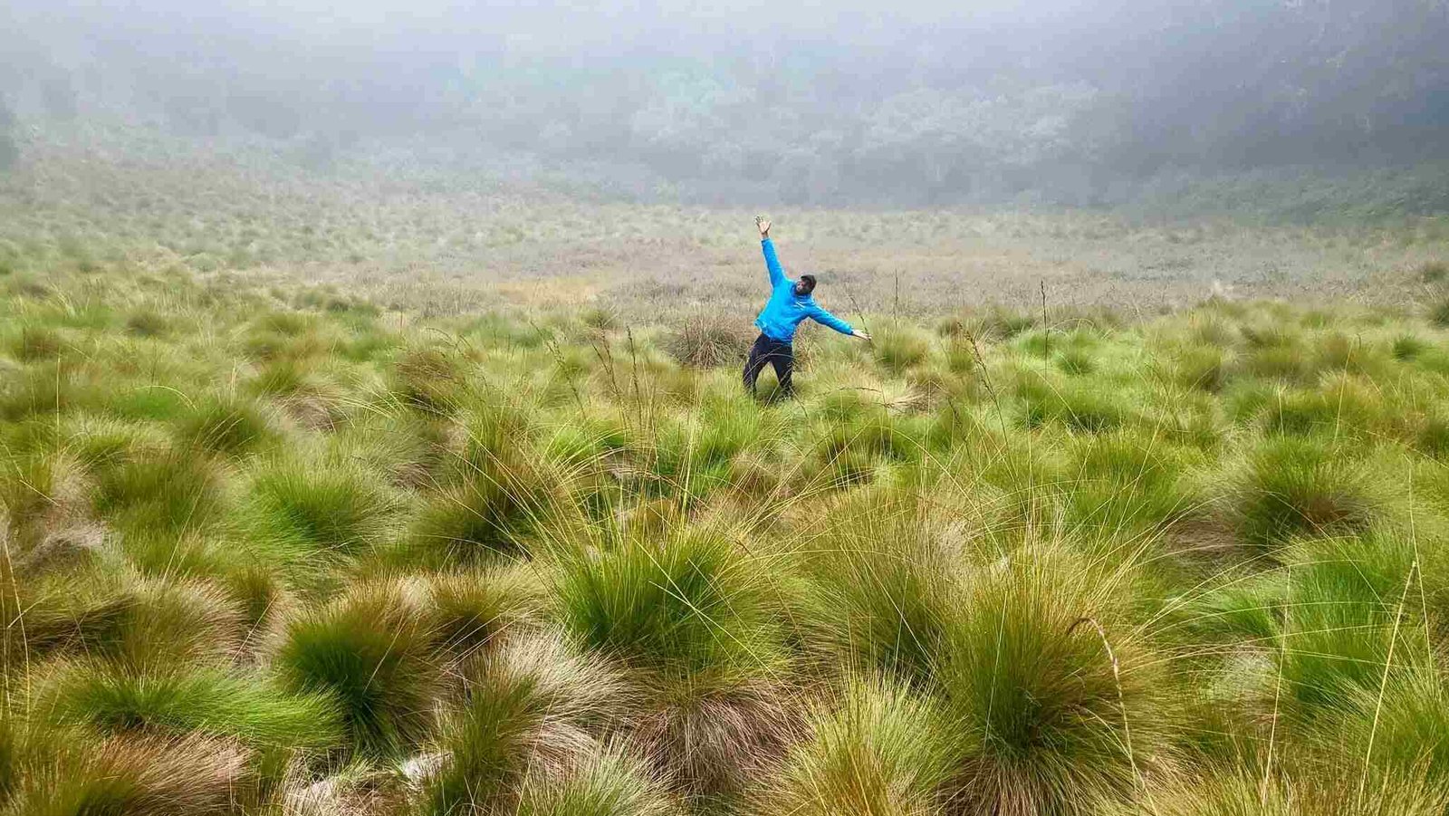 Mount Kilimanjaro Day Hike