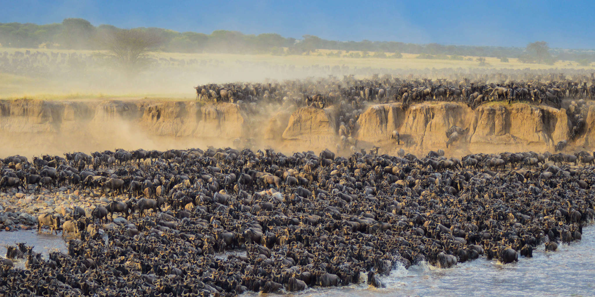 Witness the Great Migration in Northern Serengeti - Image 4